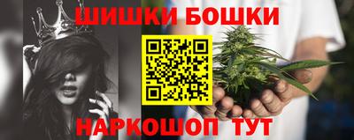 индика Краснознаменск