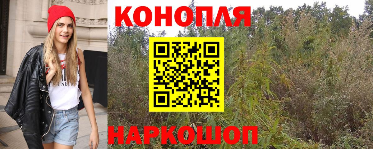Бошки Шишки VHQ Кольчугино